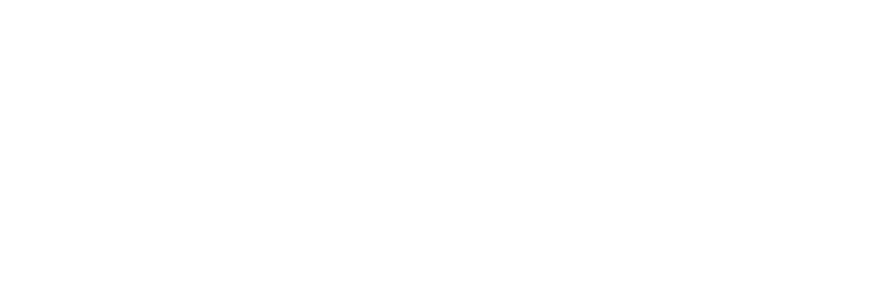 WAHLCOM_weiss